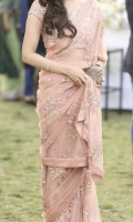 saree-nov-2024-8