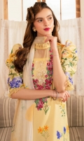 asifa-nabeel-meraki-vintage-2025-36