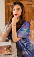 asifa-nabeel-meraki-vintage-2025-51